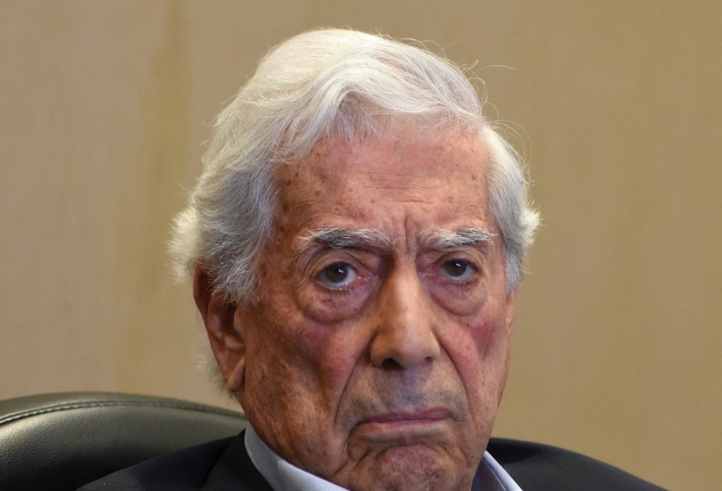 Mario Vargas Llosa