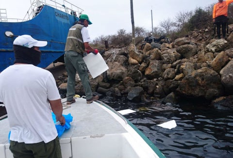 Islas Galápagos