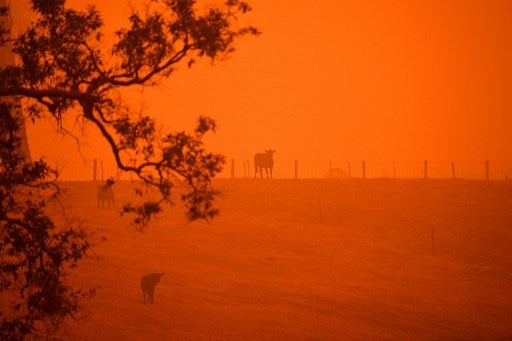 incendios australia