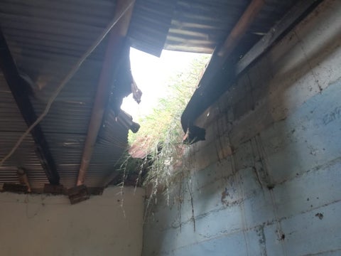 El animal quedó lesionado