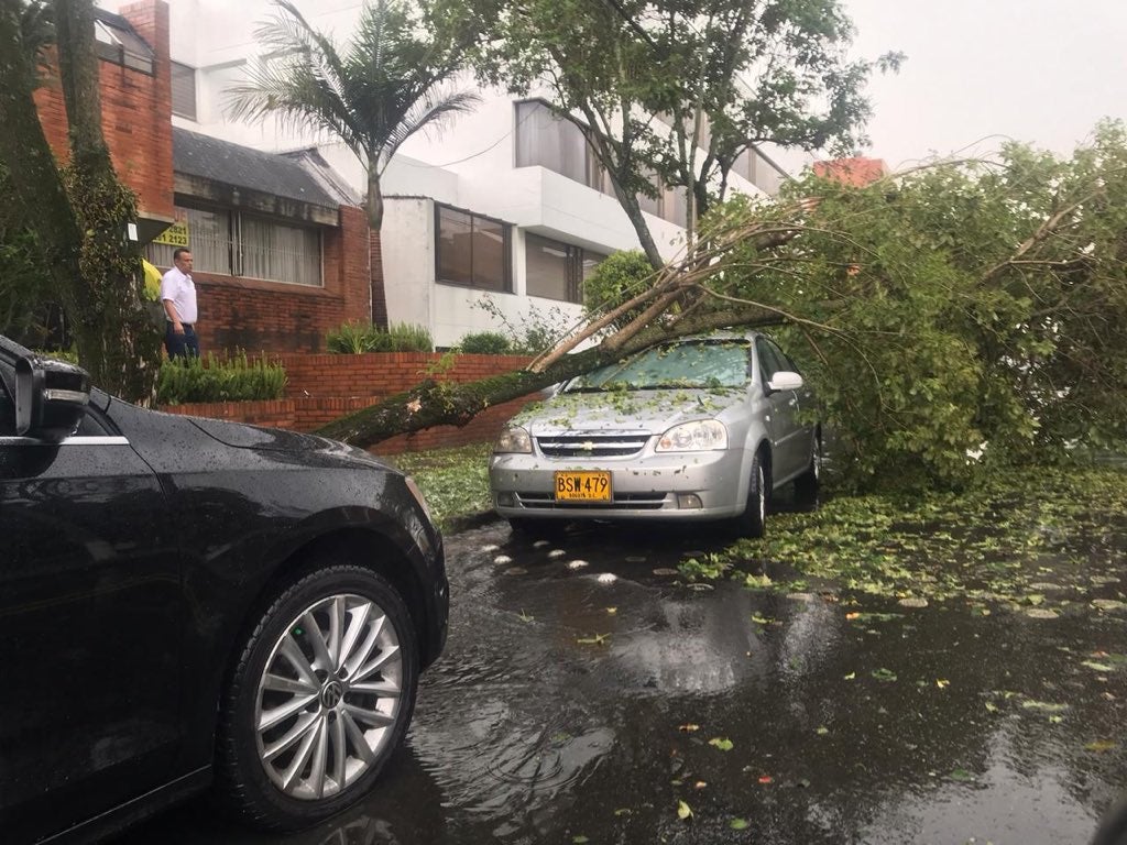 Árbol cayó sobre un carro en Cedritos