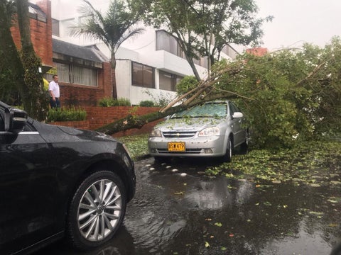Árbol cayó sobre un carro en Cedritos