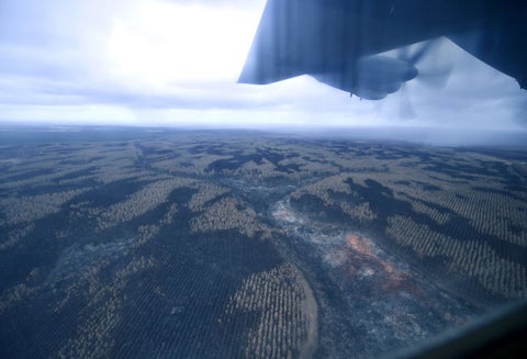 Incendios y lluvias en Australia