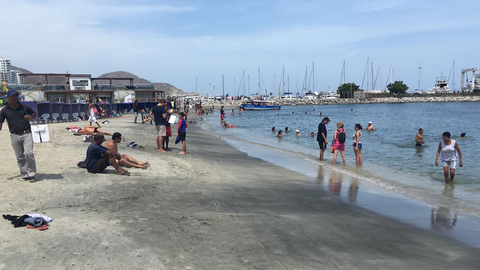 Presencia de medusas en balnearios