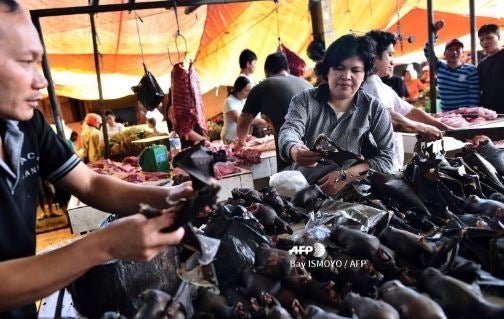 Mercado animal en la Chins