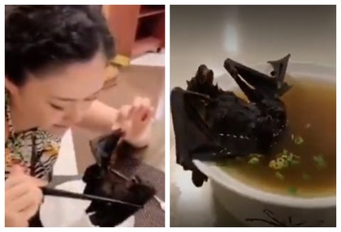 Sopa de muerciélago