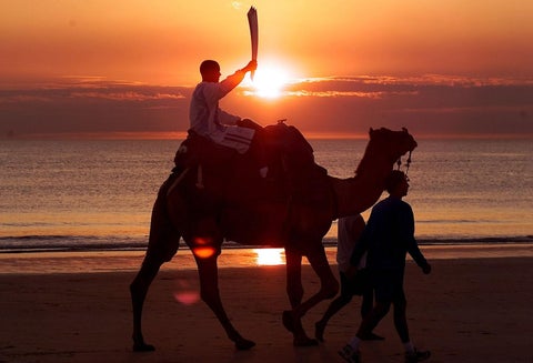 Camellos en Australia