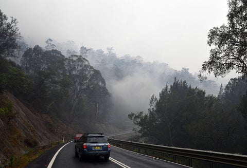 El incendio en Australia ha matado miles de animales.