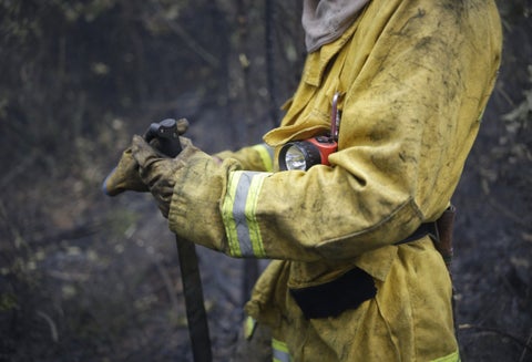 Incendio Forestal