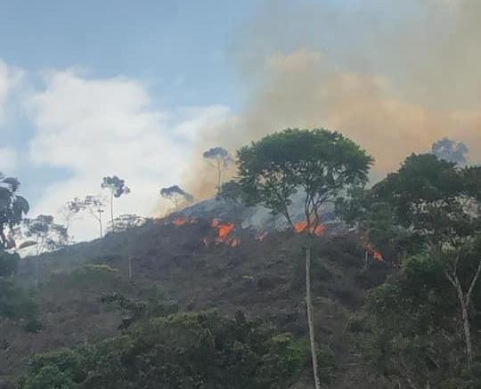 Incendio forestal en el Norte y Nordeste antioqueño.