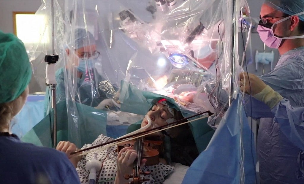 Dagmar Turner, violinista