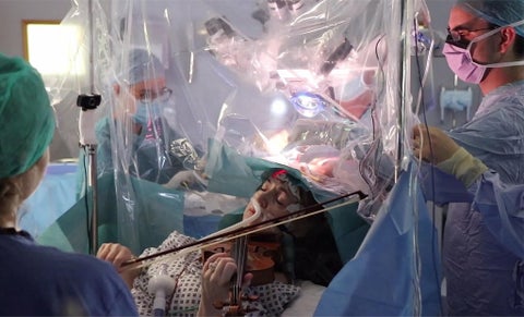 Dagmar Turner, violinista