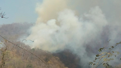 Incendio forestal