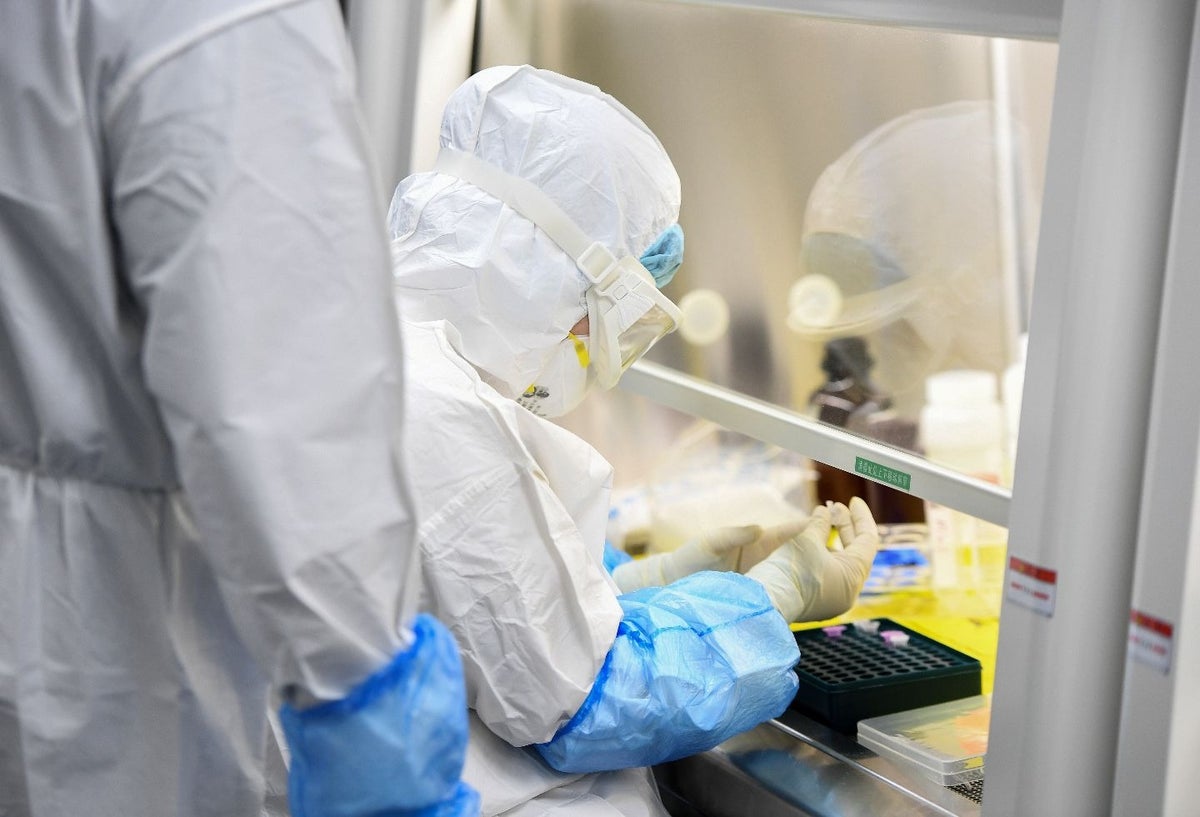Coronavirus