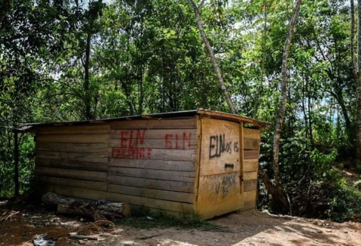 ELN en el Catatumbo
