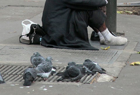 Habitante de calle referencia