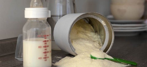 Leche en polvo