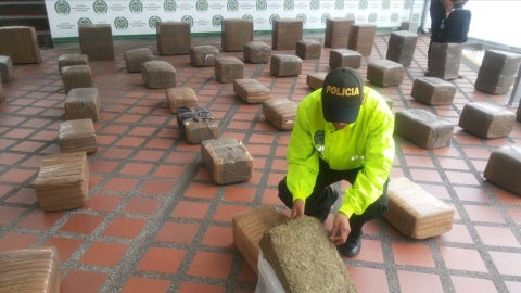 Policía incauto 500 kilos de marihuana.