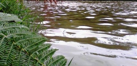 CVC canceló licencia que permitía explotación de materiales de arrastre en río Pance