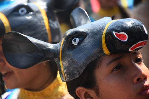 Desfile Batalla de flores banda de Baranoa