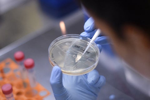 Vacuna coronavirus