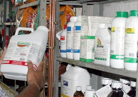 Insumos agropecuarios