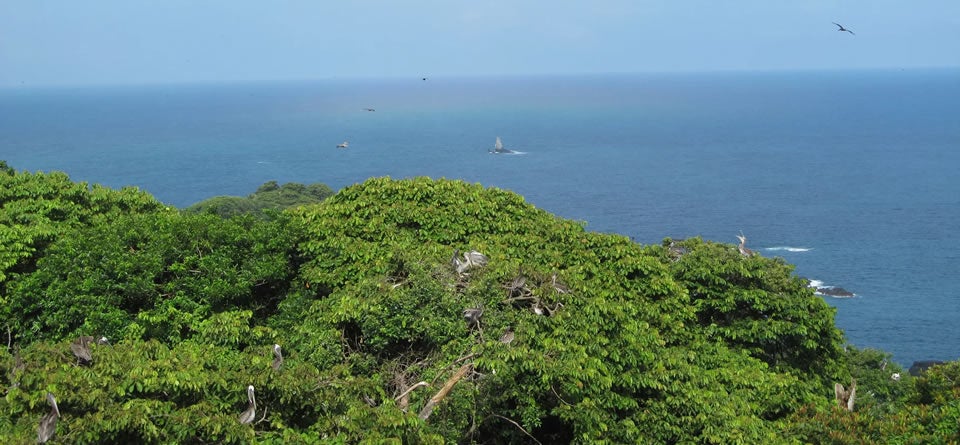 Parque Nacional Natural Gorgona