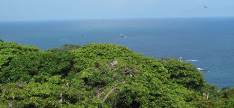 Parque Nacional Natural Gorgona