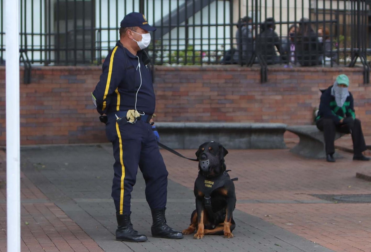 Héroes anónimos en la cuarentena: Los vigilantes