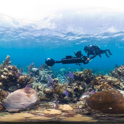 Día de la Tierra: Top de series y documentales de Netflix sobre naturaleza