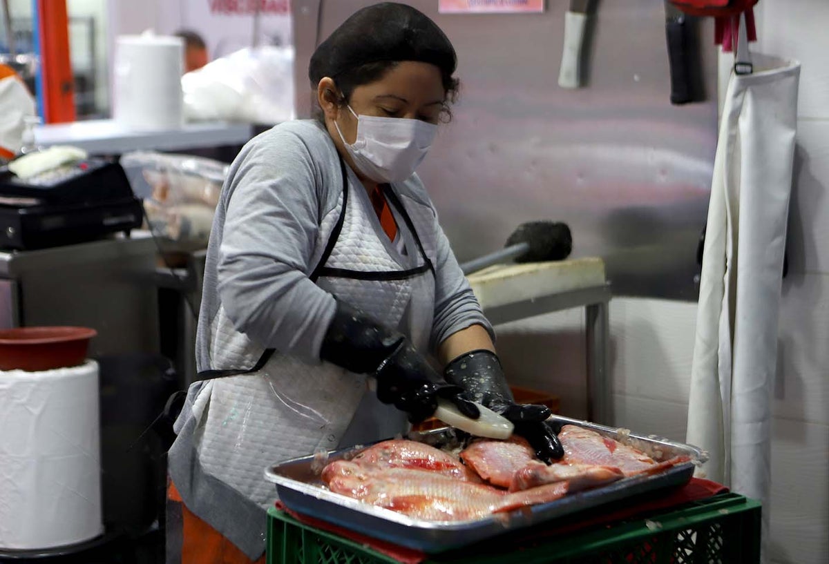 Pescado: ¿El protagonistas en las mesas por Semana Santa?