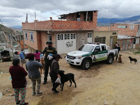 Policía en Bogotá llevando comida a perros y gatos.