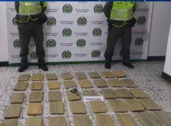marihuana camuflada