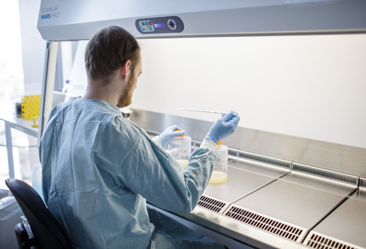 Ensayo de vacuna contra coronavirus