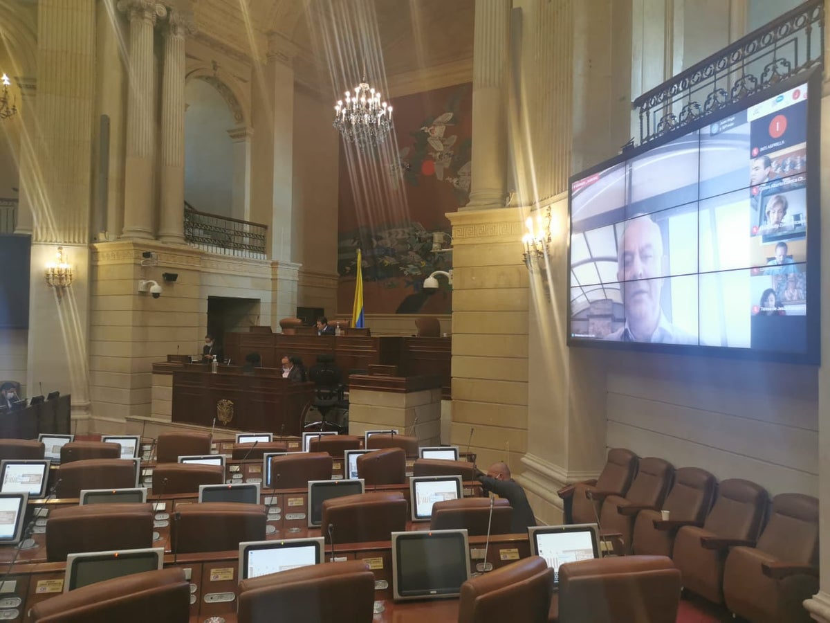 Primera plenaria de la Cámara de Representantes de manera virtual