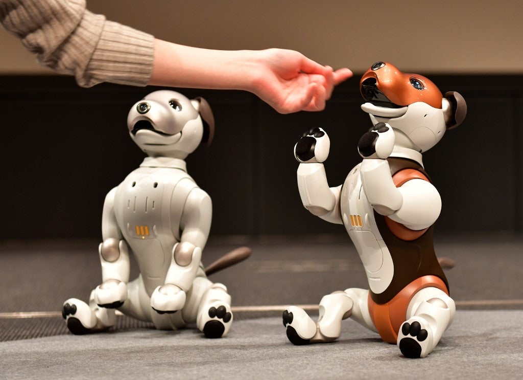 Perro robot