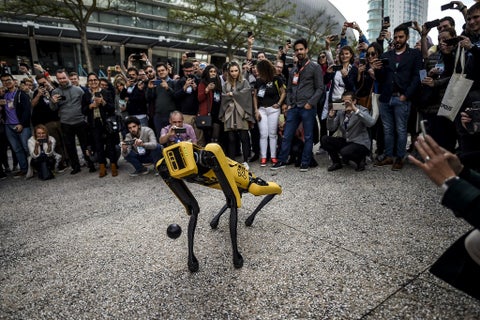 Spot, perro robot