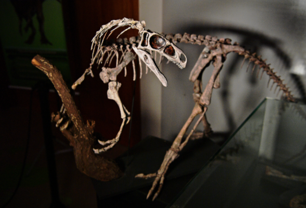 Dinosaurio