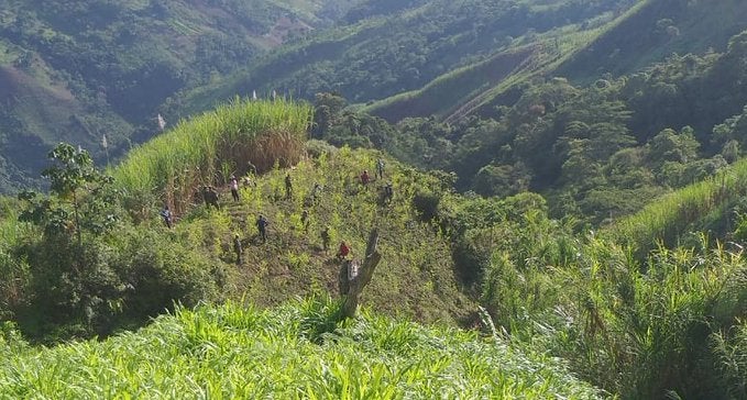 Erradicación de cultivos ilícitos en Campamento, Antioquia.