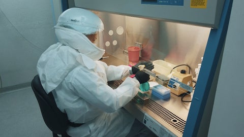Laboratorio.