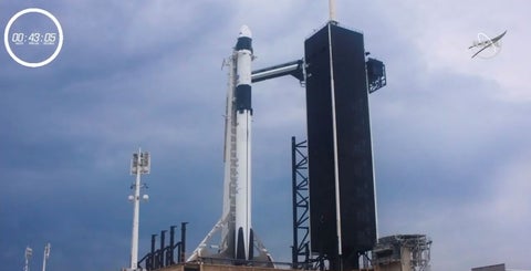 SPACE X