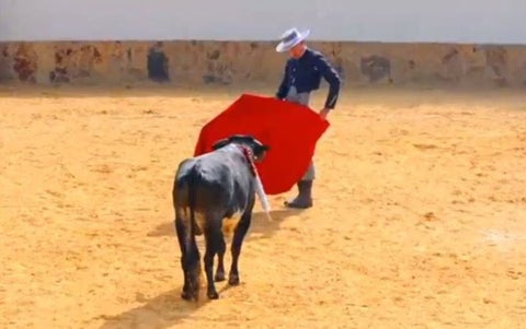 CORRIDAS DE TOROS