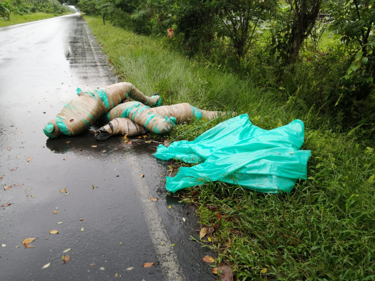 Cuerpos en carretera