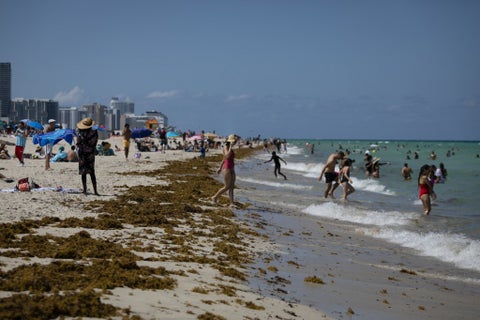 Playa de Miami