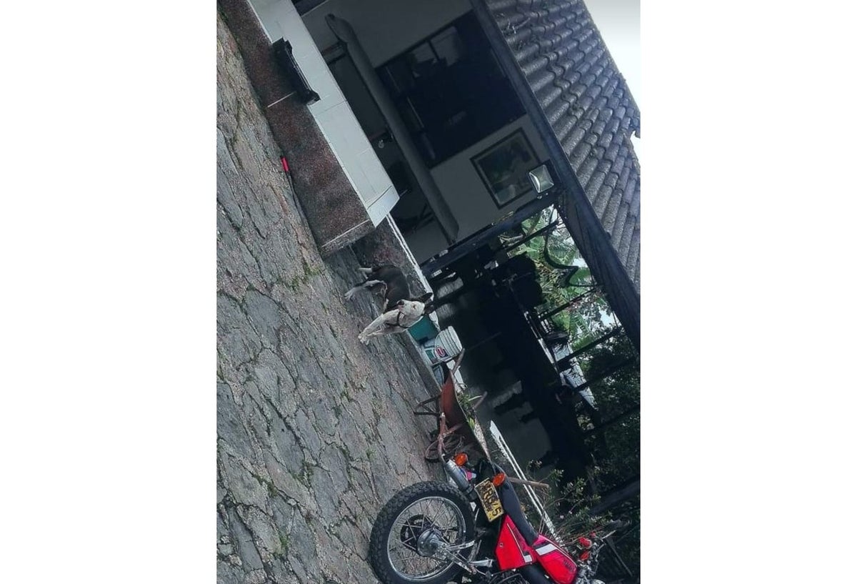 Finca en Tena, donde se registró el robo