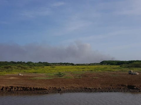 Imagen de referencia.