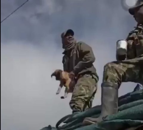 Los soldados quedaron en evidencia en le video grabado por ellso mismos
