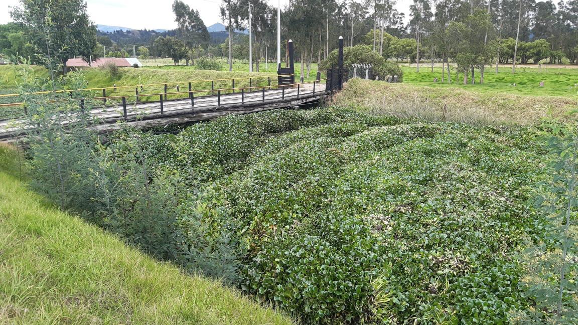 Río Ubaté, municipio de Fúquene