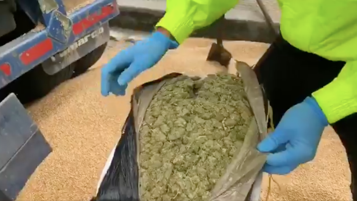 Cargamento de marihuana incautado en Bogotá