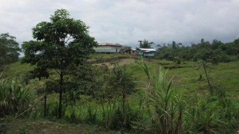 El territorio AWA sigue siendo escenario de violencia